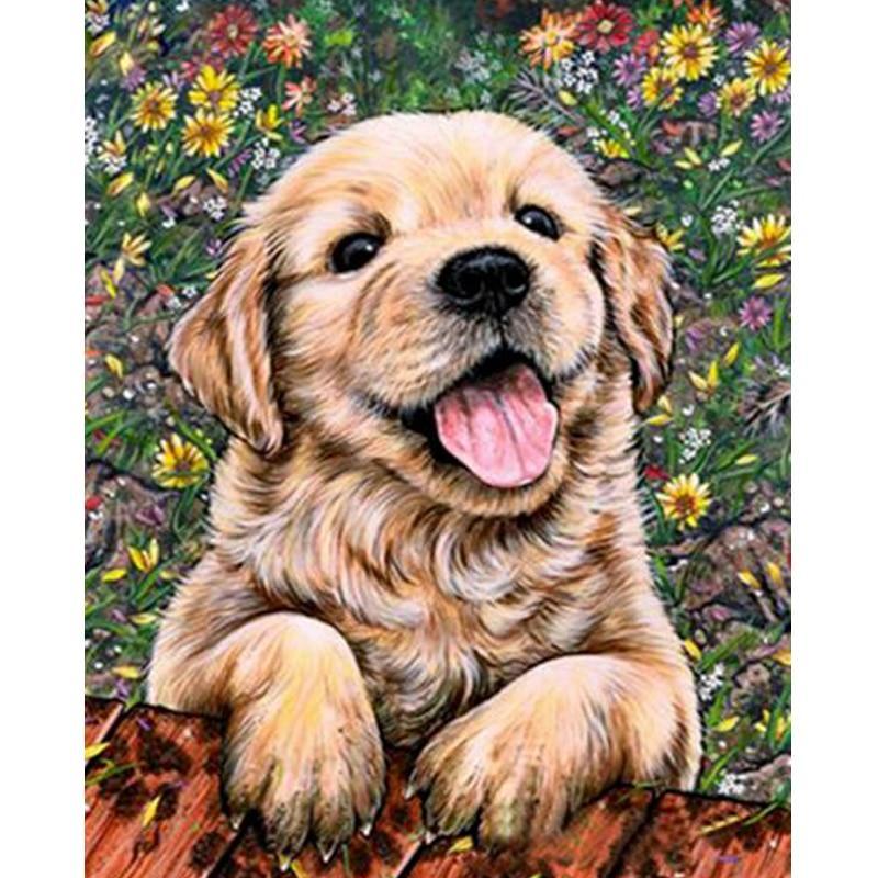 Golden Retriever