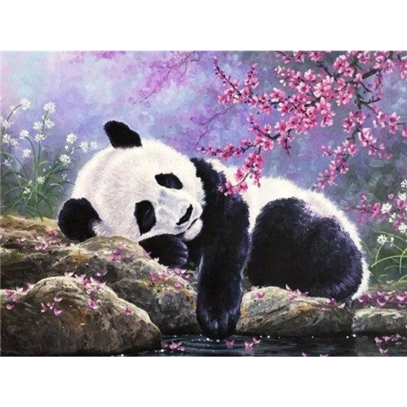 Pandabär