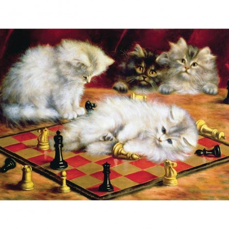 Katzen - Schach