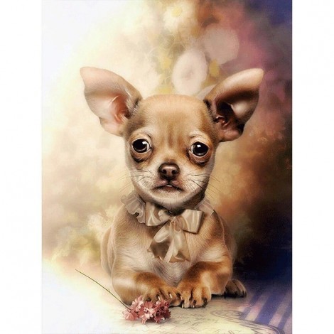 Chihuahua