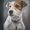 Jack Russell