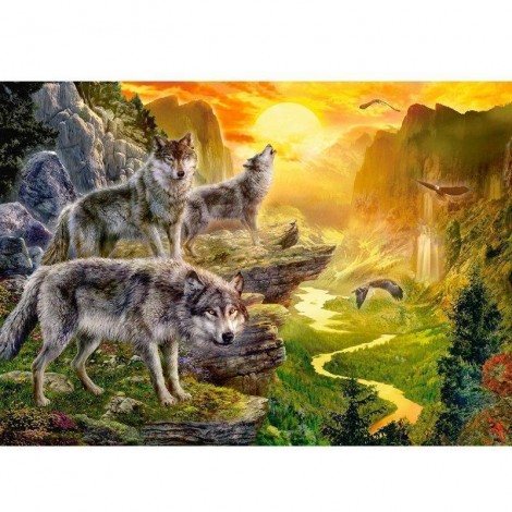 Wolf - Natur