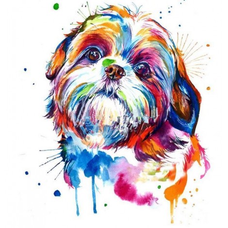 Shih Tzu